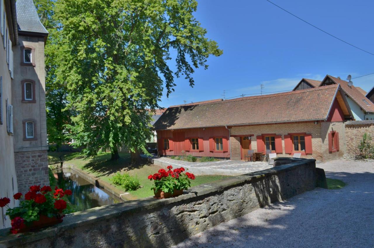 Chambres D'Hotes Chateau De Grunstein Stotzheim ภายนอก รูปภาพ